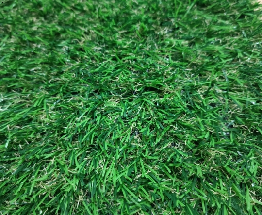 LOẠI 2.5CM-12 MŨI