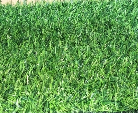 LOẠI 2CM-13 MŨI
